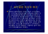 [기업분석]네오위즈의 세이클럽의 경영전략분석-11