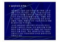 [기업분석]네오위즈의 세이클럽의 경영전략분석-18