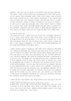 [영화감상문]영화 ` 매트릭스<Matrix>` 를 보고-4