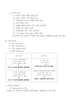 [마케팅전략]리바이스의 SWOT분석과 전략/CONCEPT-8