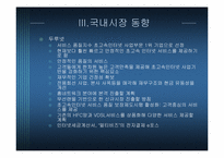 [정보통신산업]초고속 인터넷 통신-19
