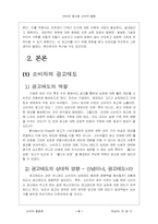 [광고전략]인터넷광고와 소비자행동에 대한 이해-2