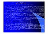 [경영독후감]손정의 21세기 경영전략을 읽고-11