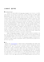 [마케팅] 현대자동차의 그랜져XG CRM 전략-6