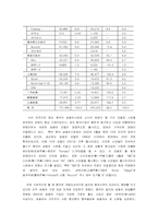 [해외시장진출전략] 중국자동차시장에 대한 현대자동차의 나아갈 방향-6