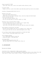 [항공교통]아일랜드의 공역관리 항공정책 ATC 유로콘트롤-7