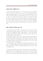 [국제경영학] ㈜ 아모레 퍼시픽의 해외진출 전략-5