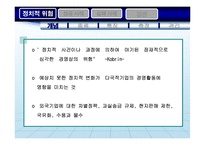 [국제경영] 제 5장 국제통상환경 -제 2절 정치적 위험-3