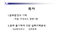 [국제경영] 문화환경 몰이해에 의한 실패 사례들-2