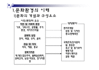 [국제경영] 문화환경 몰이해에 의한 실패 사례들-3