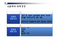 [국제경영] 문화환경 몰이해에 의한 실패 사례들-9