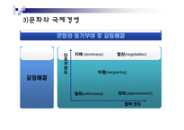 [국제경영] 문화환경 몰이해에 의한 실패 사례들-11