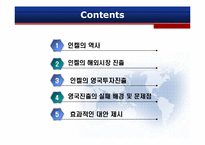 [국제경영학] 인켈의 영국 해외직접투자 실패-2