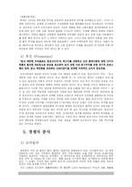 칠성사이다 마케팅전략-11