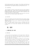 칠성사이다 마케팅전략-12