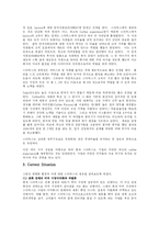[서비스경영] `스타벅스`의 서비스 개발-5