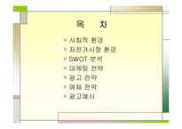 [마케팅, 광고기획서] 삼천리 자전거 광고 기획서-2