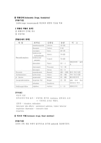 [정신간호학] 치료적 정신간호활동-8