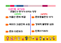 [사회학] 국제결혼과 혼혈인, 다민족국가화 현상-14