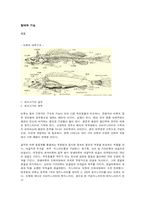 [식품학] 어류와 어류의 비늘-5