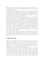 [사이버범죄] 사이버 범죄(인터넷 범죄) 및 컴퓨터 범죄-17