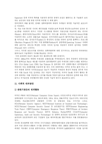 [사이버범죄] 사이버 범죄(인터넷 범죄) 및 컴퓨터 범죄-19