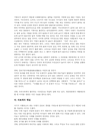 [임신중절(낙태)] 임신중절(낙태)의 실태와 향후 과제-5
