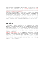 [교육 심리] 굿 윌 헌팅을 통하여 본 교육 심리학-6