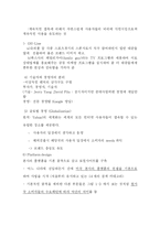 [국제마케팅] 야후 마케팅전략-9