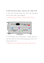 [국제마케팅] 야후 마케팅전략-15