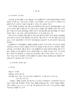 [국제마케팅] 아이리버 국제 마케팅 전략-6