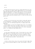[국제마케팅] 아이리버 국제 마케팅 전략-8