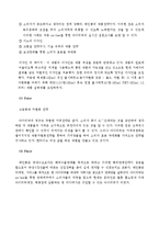 [국제마케팅] 아이리버 국제 마케팅 전략-13