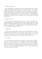 [국제마케팅] 아이리버 국제 마케팅 전략-17