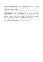 [국제마케팅] 아이리버 국제 마케팅 전략-20