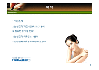 [마케팅] 삼성전자 하우젠 마케팅전략-2