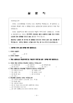 [마케팅] 팬택 앤 큐리텔 스카이(SKY) 마케팅전략-19