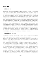 [마케팅전략론] 대한항공,아시아나항공의 마케팅전략 비교분석-4
