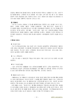 [국제마케팅] 아웃백 마케팅 전략-13