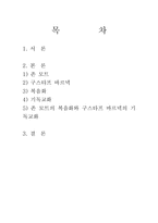 존 모트의 복음화와 구스타프 바르넥의 기독교화-2