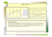 원할머니 보쌈 프렌차이즈 창업계획서-5