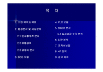 스킨푸드 마케팅전략-2
