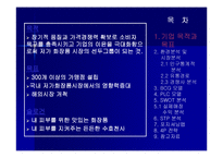 스킨푸드 마케팅전략-3