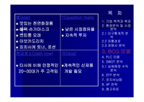 스킨푸드 마케팅전략-14