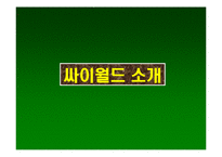 싸이월드 마케팅사례-3