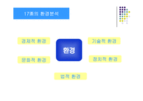 17차 마케팅전략-15