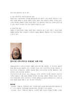 아이팟 촉진전략-6