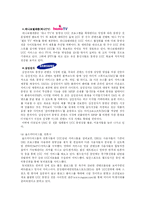 [인터넷마케팅전략] 다음 Daum UCC 의 마케팅 활용 및 개선 방안-11