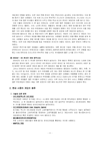 [인터넷마케팅] 넥슨의 성공요인 분석-4