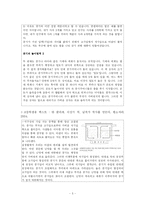 [독서교육론] 독서 지도 프로그램 개발 -연령별 차이에 따른 독서교육-5